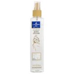 كازانوفا معطر جسم وايت مسك 235
