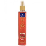 كازانوفا معطر جسم كاسيس روز 235 مل
